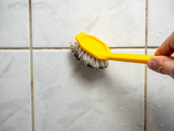 Best Black Mold Removal  in Walton Hills, OH